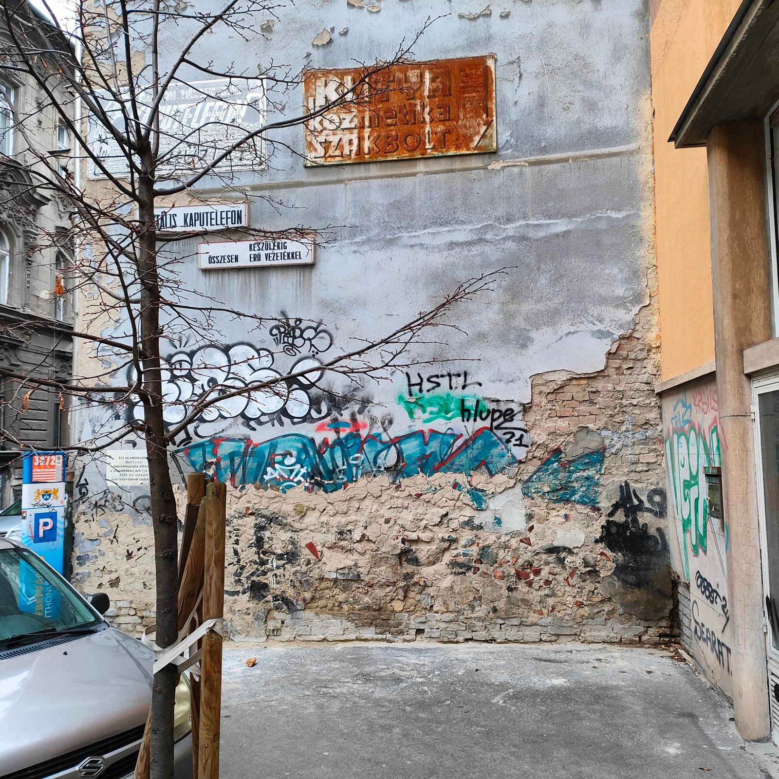 IMG20240122155418-1